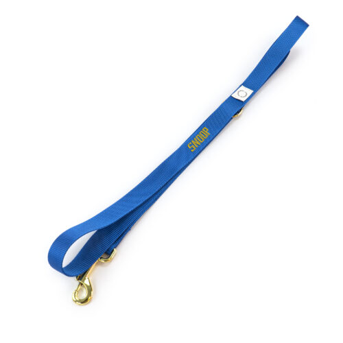 Leiband blauw