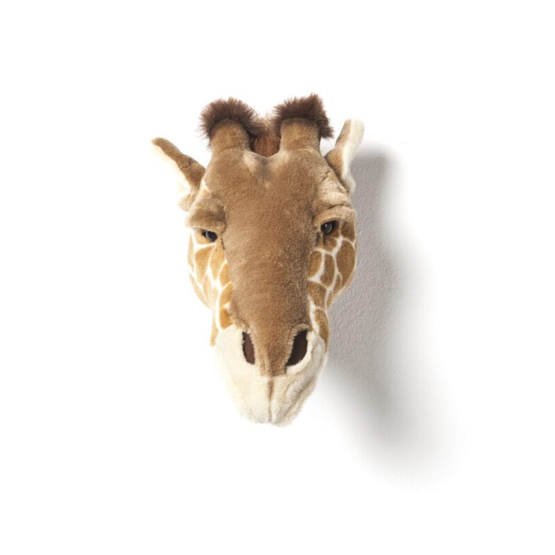 dierenkop giraf