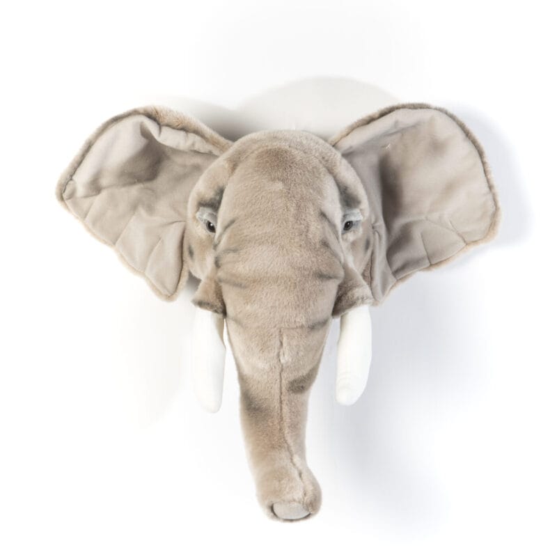 dierenkop olifant