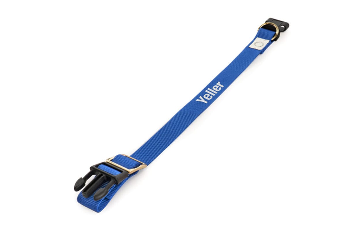 halsband hond