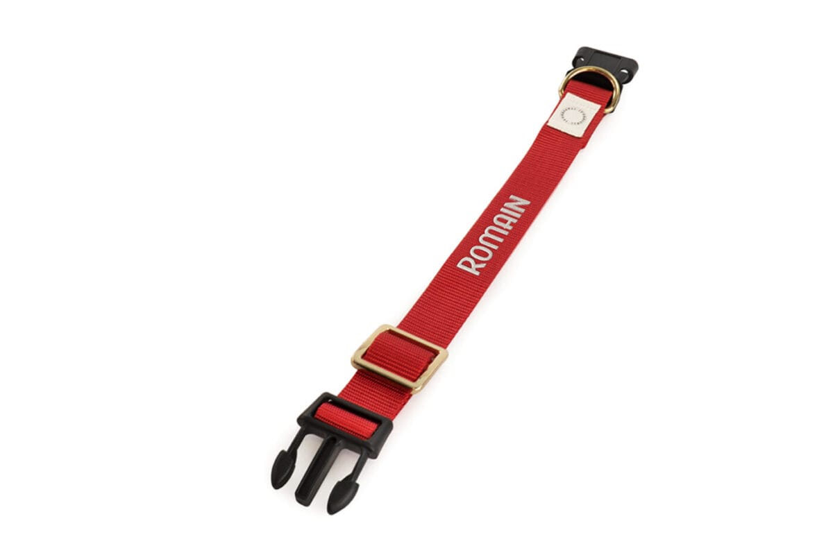 hondenleiband rood met naam